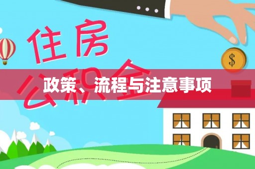 来安政策、流程与注意事项