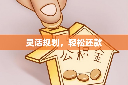 来安灵活规划，轻松还款