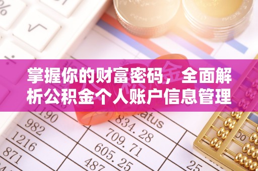 来安掌握你的财富密码，全面解析公积金个人账户信息管理与优化