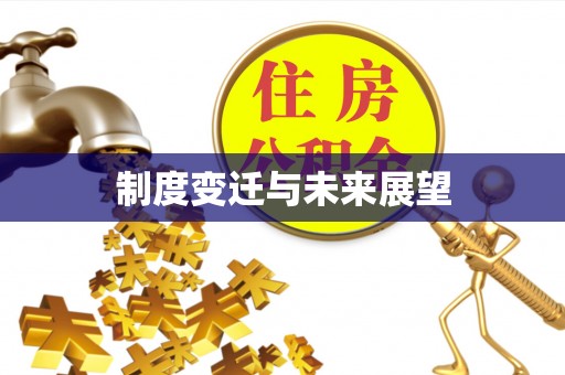 来安制度变迁与未来展望