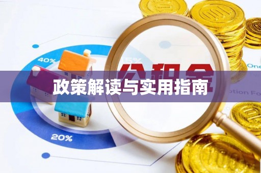 来安政策解读与实用指南