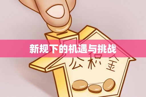 来安新规下的机遇与挑战