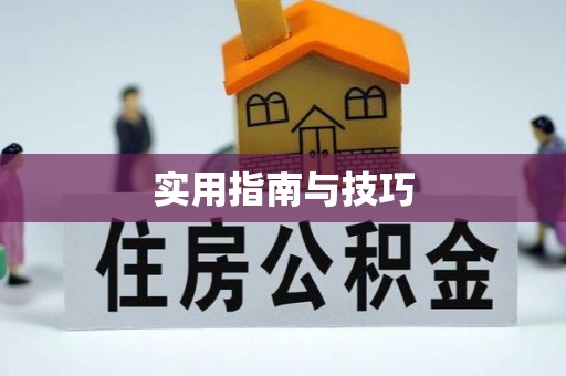 来安实用指南与技巧