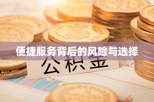 来安便捷服务背后的风险与选择