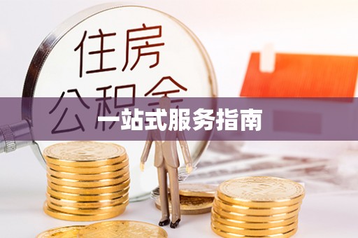 来安一站式服务指南