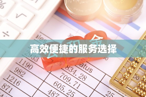 来安高效便捷的服务选择