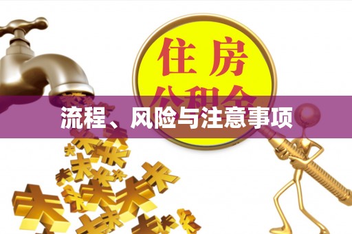 来安流程、风险与注意事项